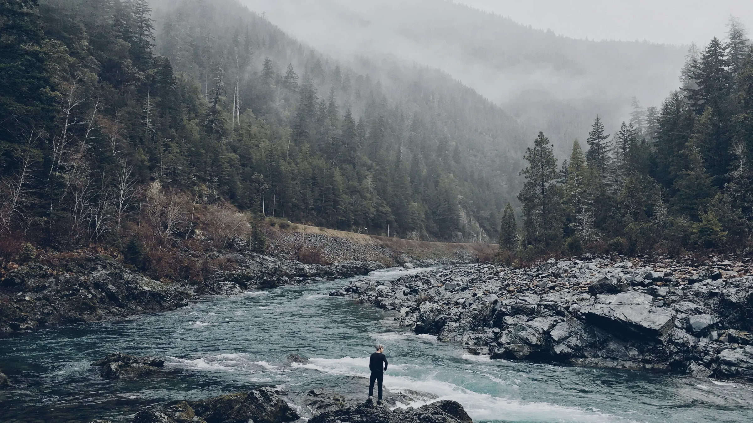 A walker standing on the rocks of a river running through a misty pine forest